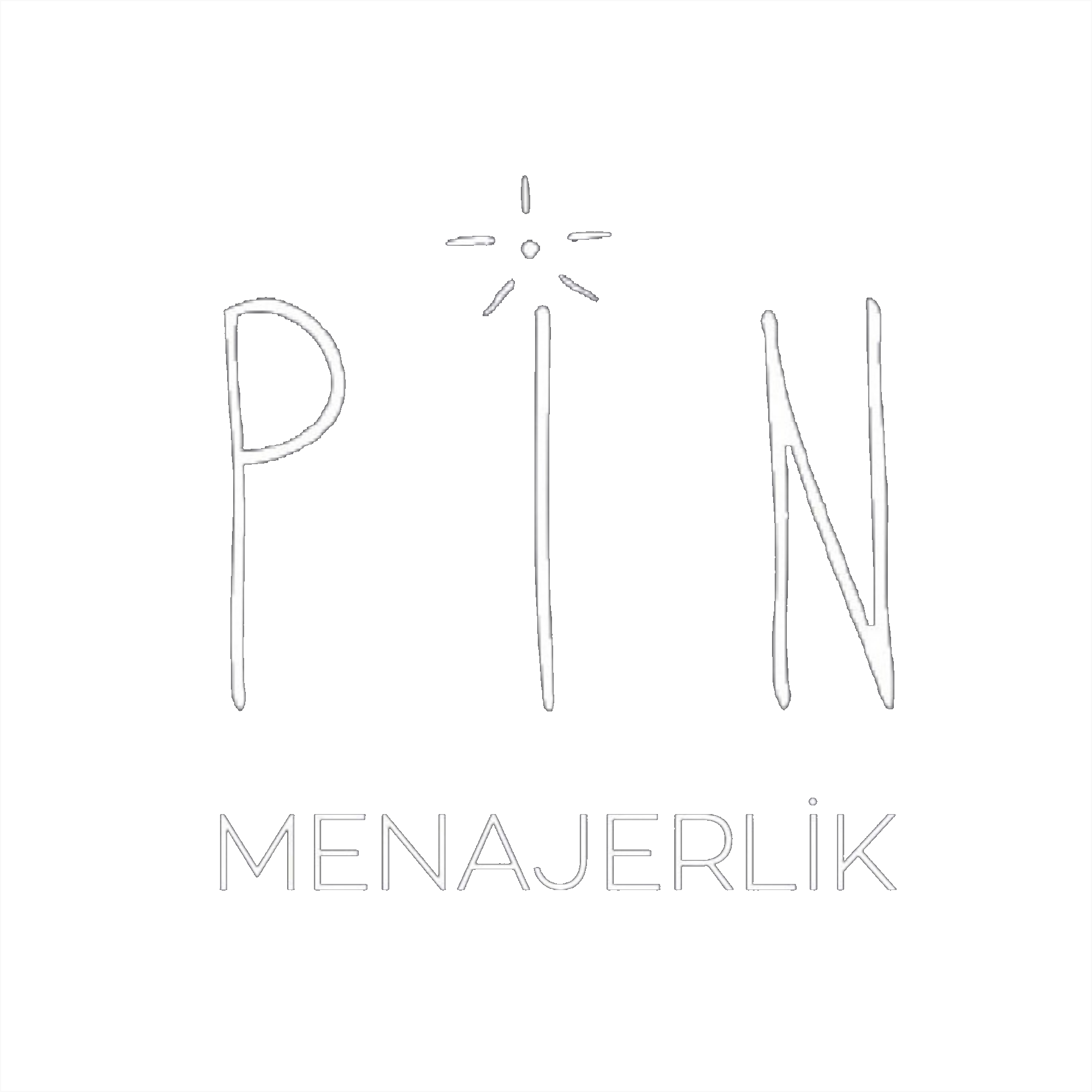 Pin Menajerlik